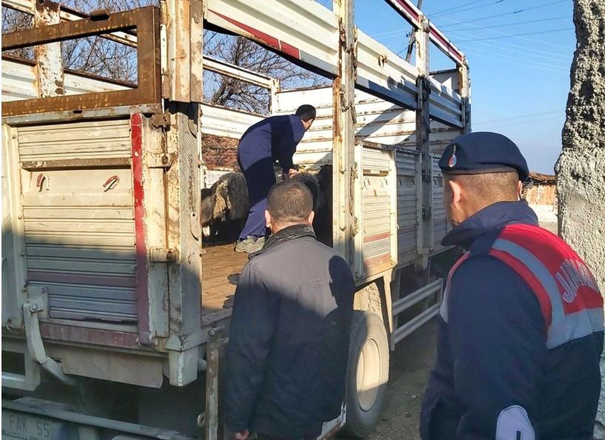 Bilecik\'te sahte banka dekontla hayvan hırsızlığı yapan şahıs yakalandı