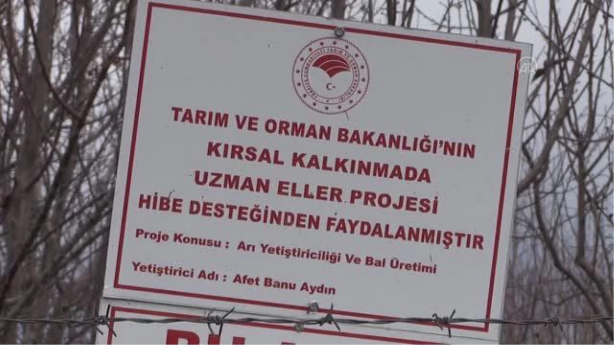 Devlet desteğiyle arıcılığa başlayan kadın, kovan sayısını artırdı