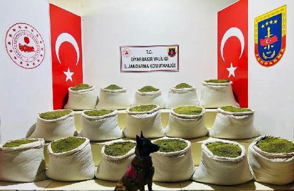 Diyarbakır\'da Eren Abluka Sonbahar Kış-18 Operasyonu\'nda 445 kilo esrar ele geçirildi