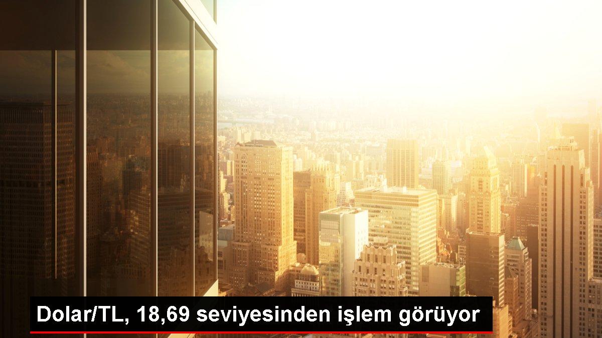 Dolar/TL, 18,69 seviyesinden işlem görüyor