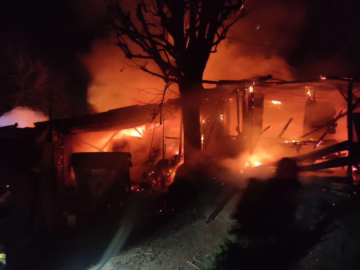 Ahır yangınında 30 tavuk telef oldu