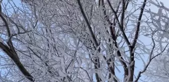 Soğuk hava etkili oluyor
