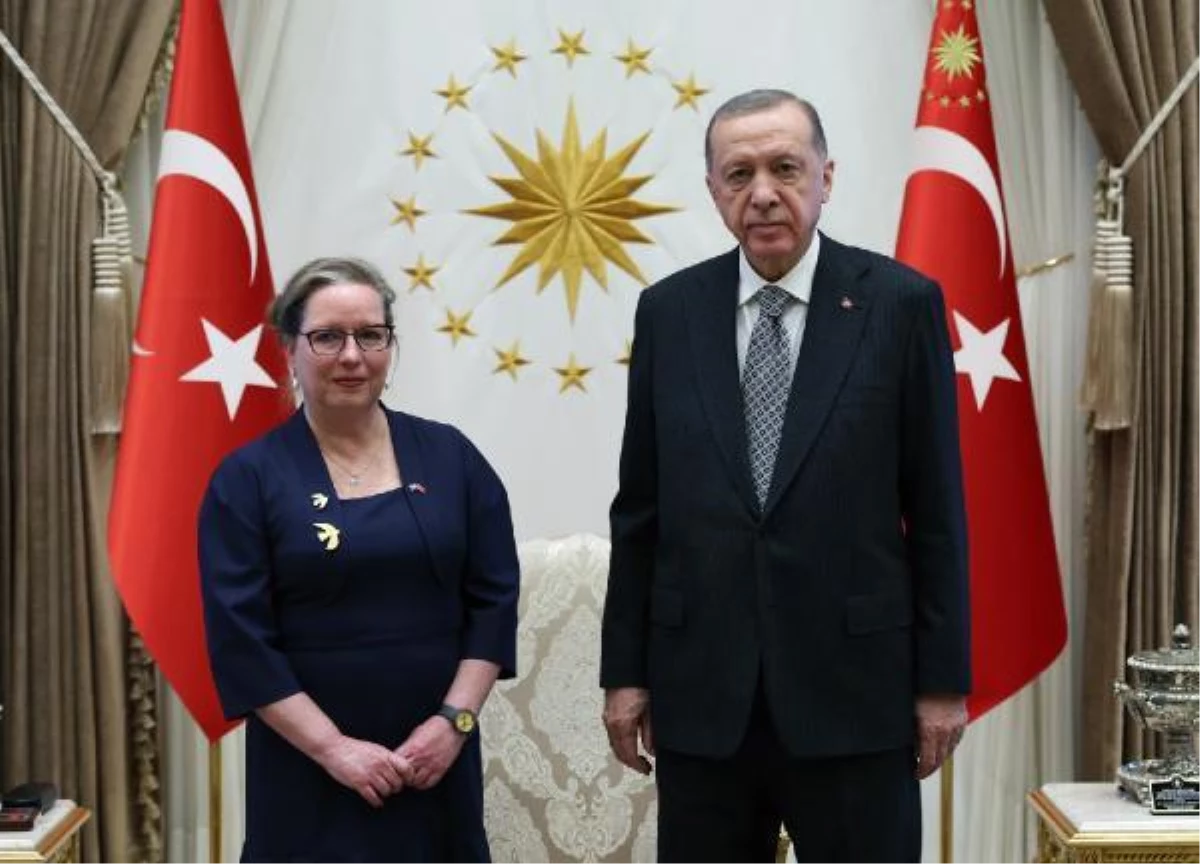 Cumhurbaşkanı Erdoğan, güven mektuplarını kabul etti (2)