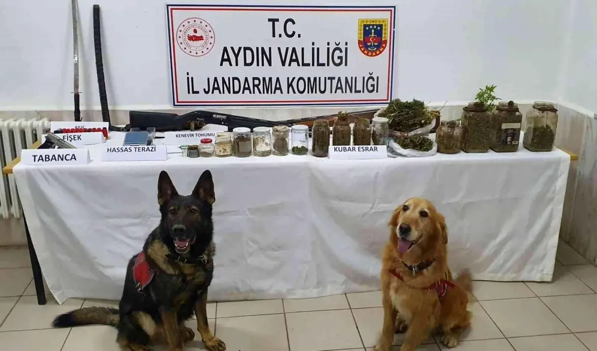 Didim'de evinden samuray kılıcı çıkan uyuşturucu taciri tutuklandı