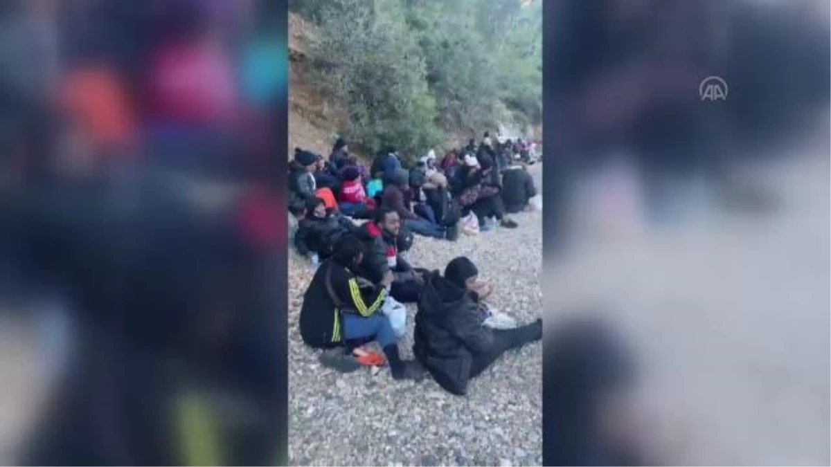 Fethiye\'de 54 düzensiz göçmen yakalandı