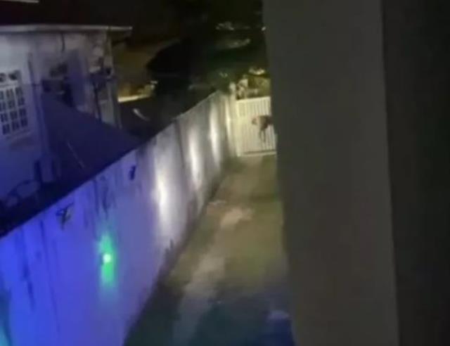 Kadın komşusuna tecavüz için cama kafa attığı evde şortunu sıyırdı, aşırı kan kaybedince öldü Kadın komşusuna tecavüz için cama kafa attığı evde şortunu sıyırdı, aşırı kan kaybedince öldü
