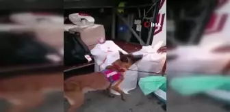 Yolcu otobüsünde 40 kilo uyuşturucu ele geçirildi