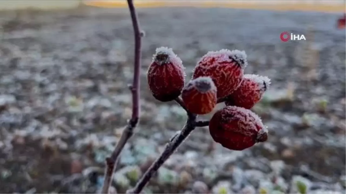 Ağrı\'da hava sıcaklığı eksi 6\'ya düştü