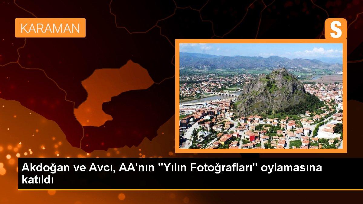 Akdoğan ve Avcı, AA\'nın "Yılın Fotoğrafları" oylamasına katıldı
