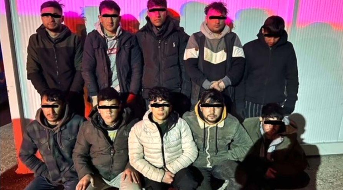 Kırklareli\'nde 229 kaçak göçmen yakalandı