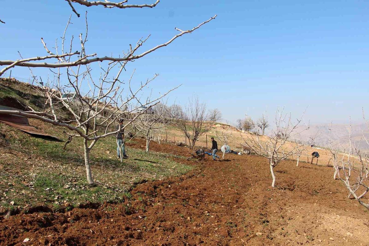 Siirt\'te kuraklık endişesi çiftçileri korkutuyor