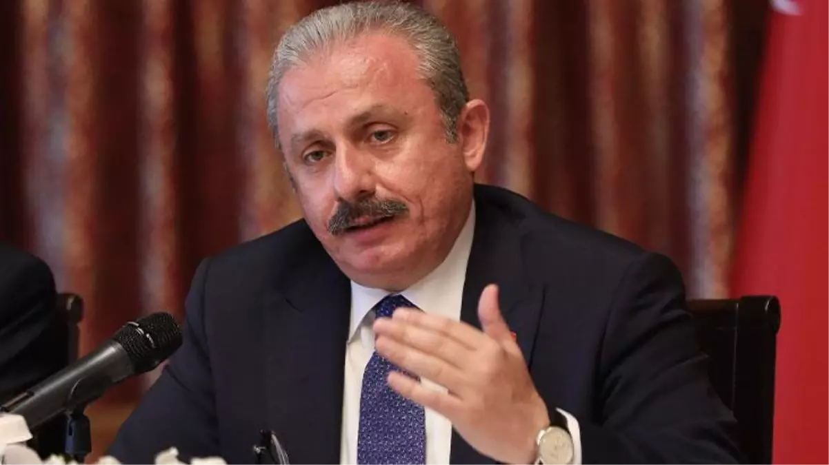 TBMM Başkanı Mustafa Şentop: 6 Nisandan önce seçim kararı alınmasını beklemiyorum