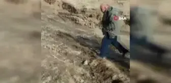 Dağ keçisi camı kırıp eve girdi