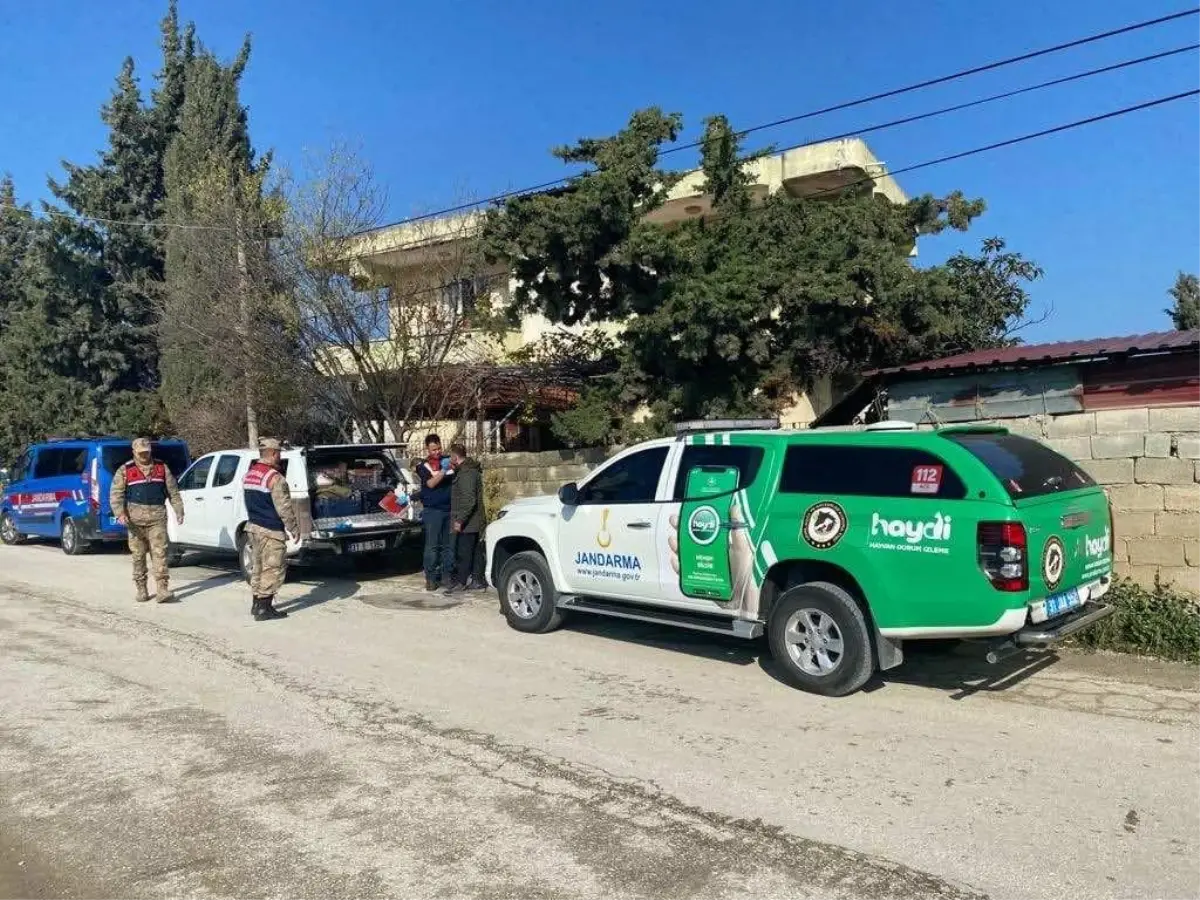 Hatay\'da sahipsiz köpeği tüfekle yaralayan şüpheli yakalandı