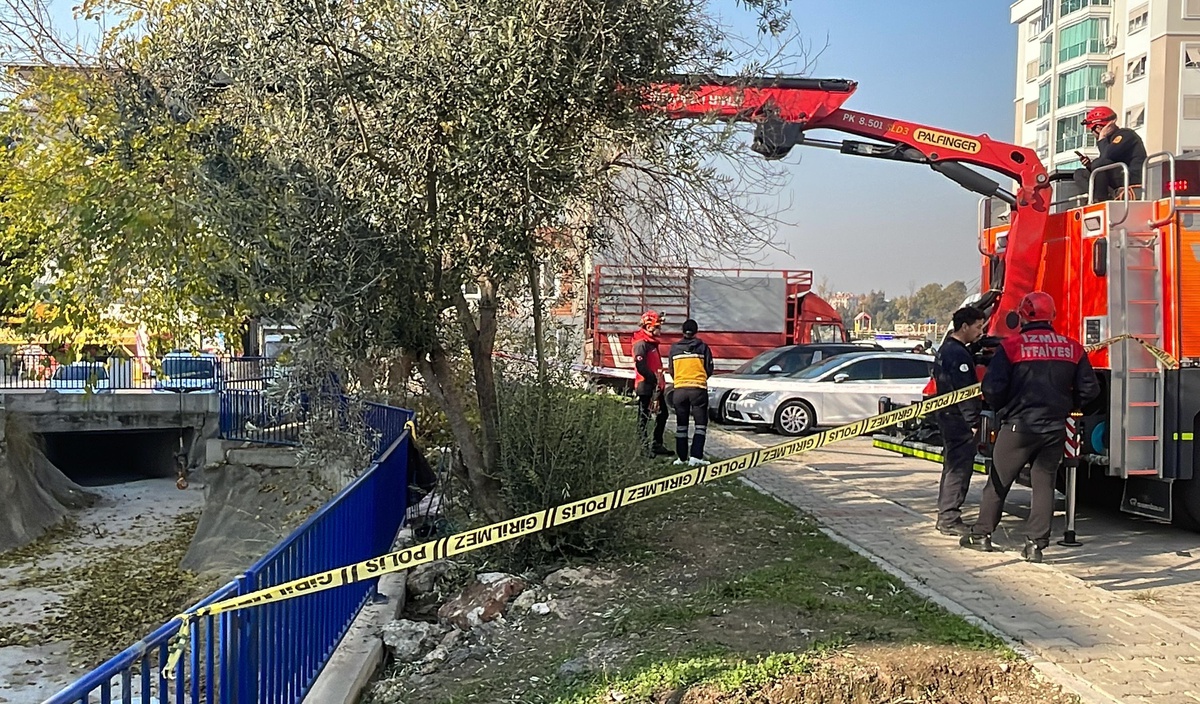 İzmir\'de zeytin ağacından düşen kişi öldü