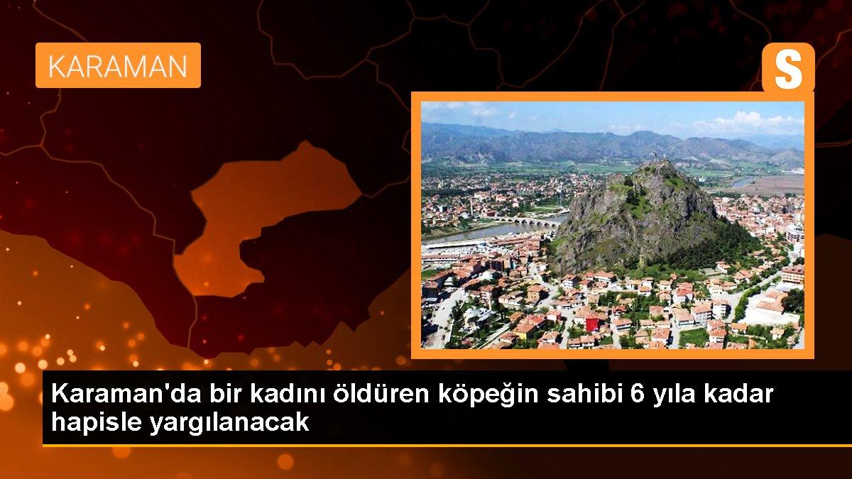 Karaman\'da bir kadını öldüren köpeğin sahibi 6 yıla kadar hapisle yargılanacak