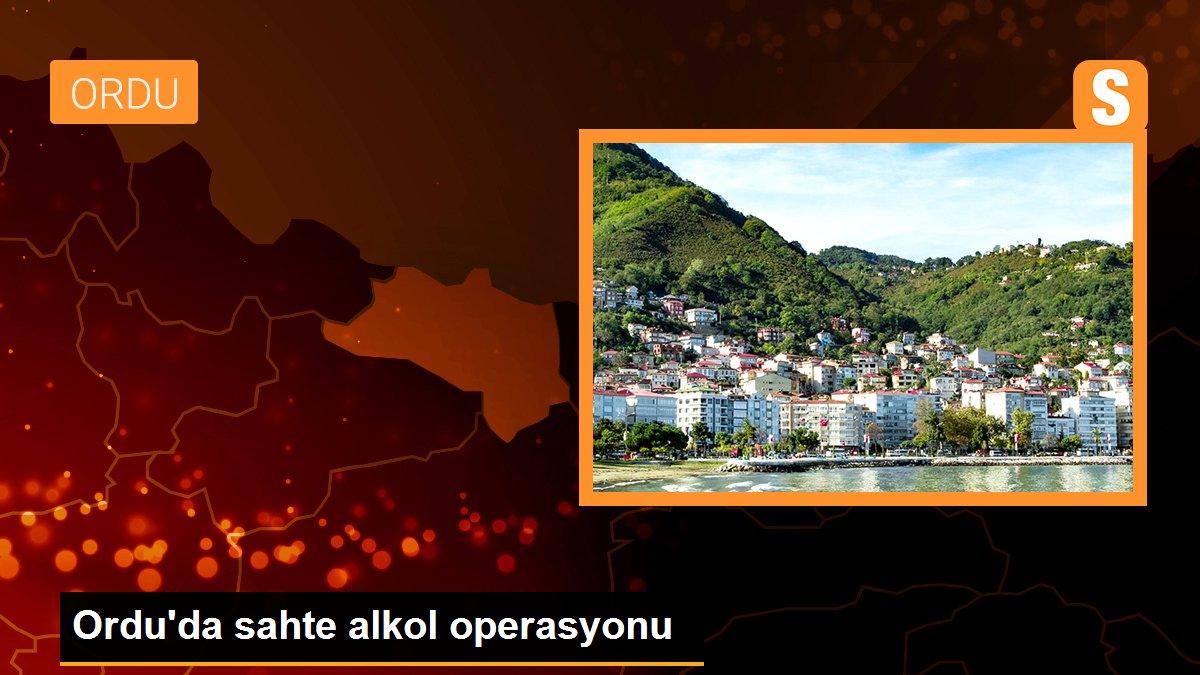 Ordu\'da sahte alkol operasyonu