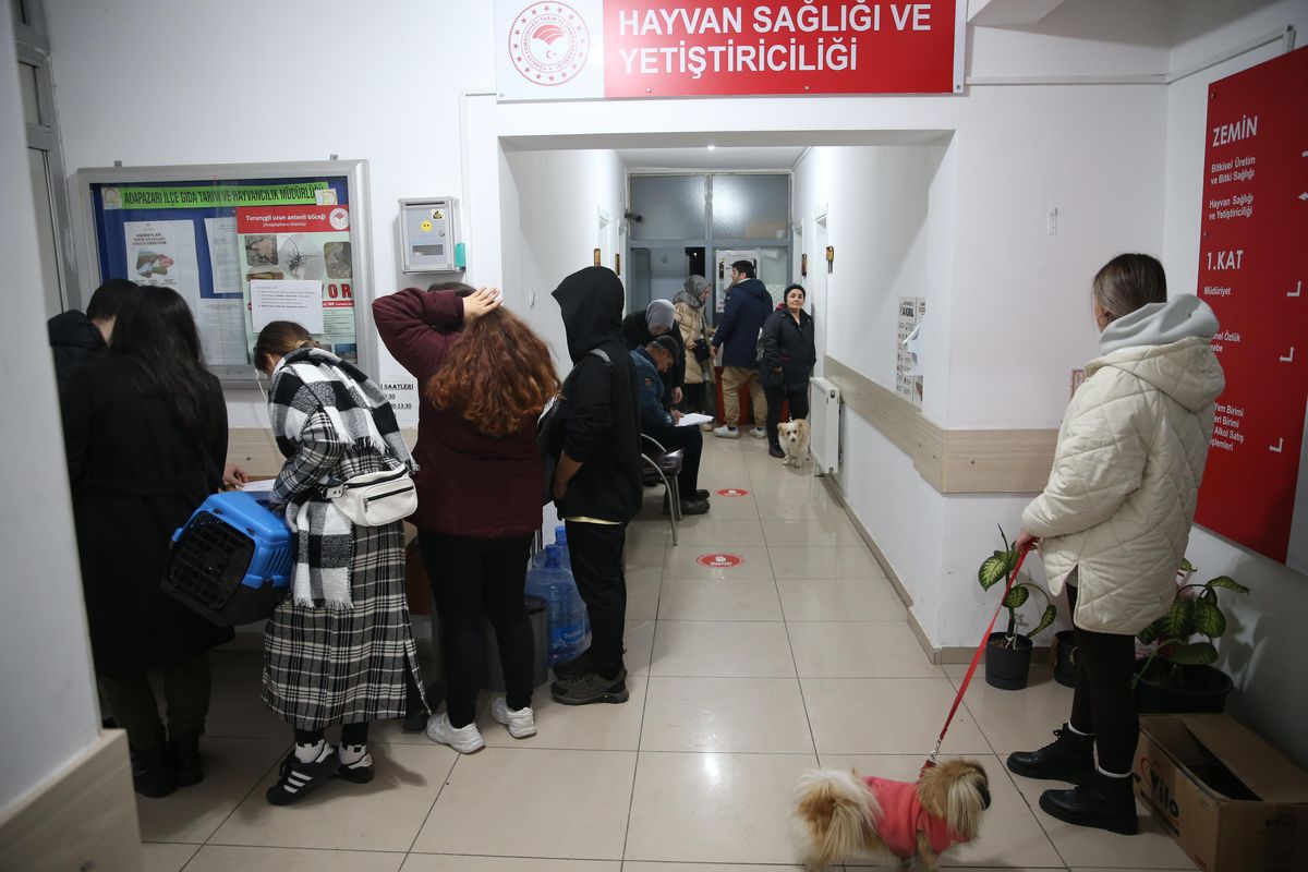 Sakarya\'da 21 bin evcil hayvan kayıt altına alındı