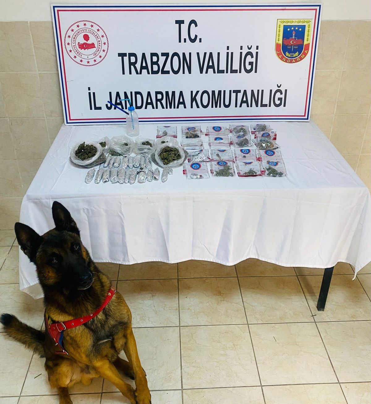 Trabzon\'daki uyuşturucu operasyonunda 2 kişi yakalandı
