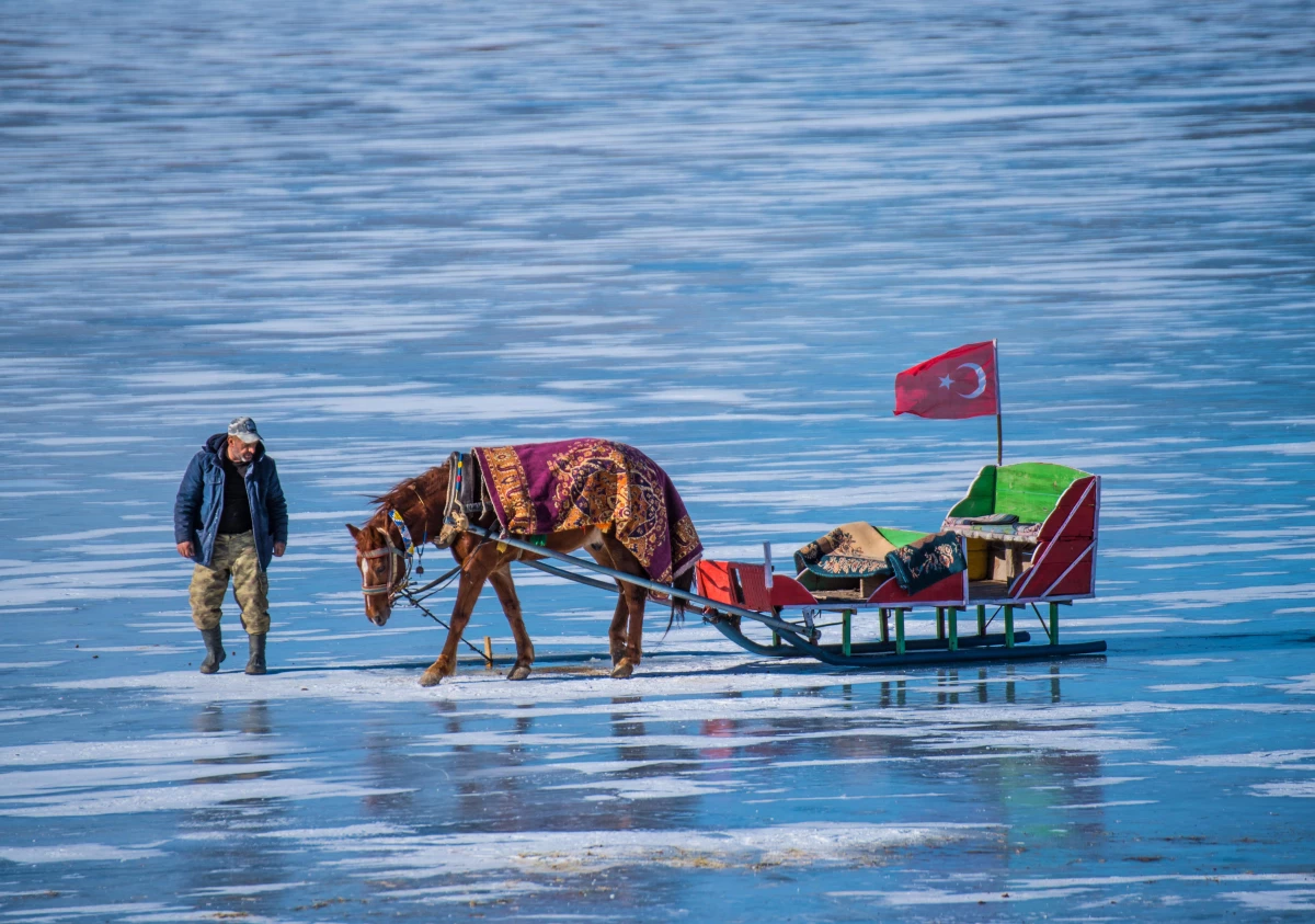 Çıldır Gölü\'ndeki kızakçı atları soğuklara karşı üzerlerine örtülen halıyla korunuyor