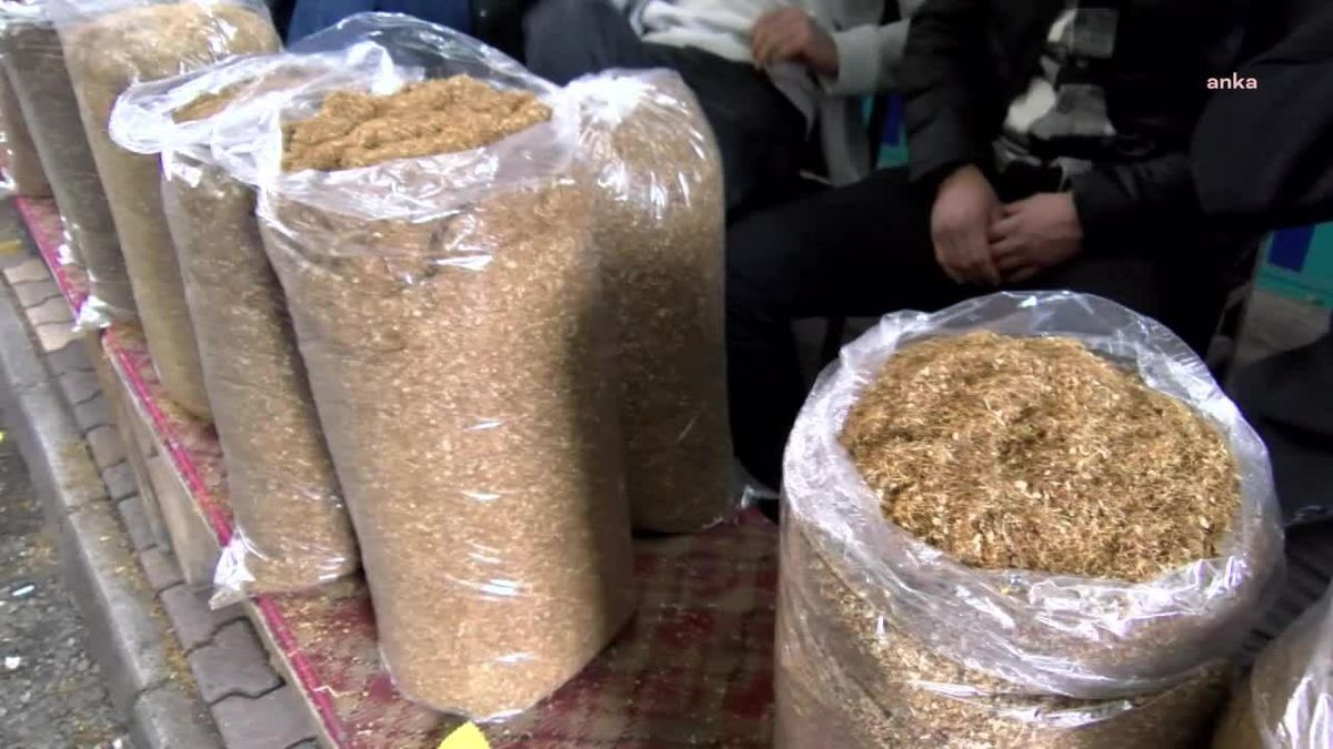 Etil Alkol, Metanol ve Tütün İşleme, Üretim, Dağıtım ve Ticaret Belgesi Bedelleri Yüzde 122,93 Oranında Zamlandı
