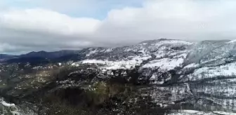 Hayatını adadığı keçileriyle karlı yamaçlarda günde 8 saat yol katediyor