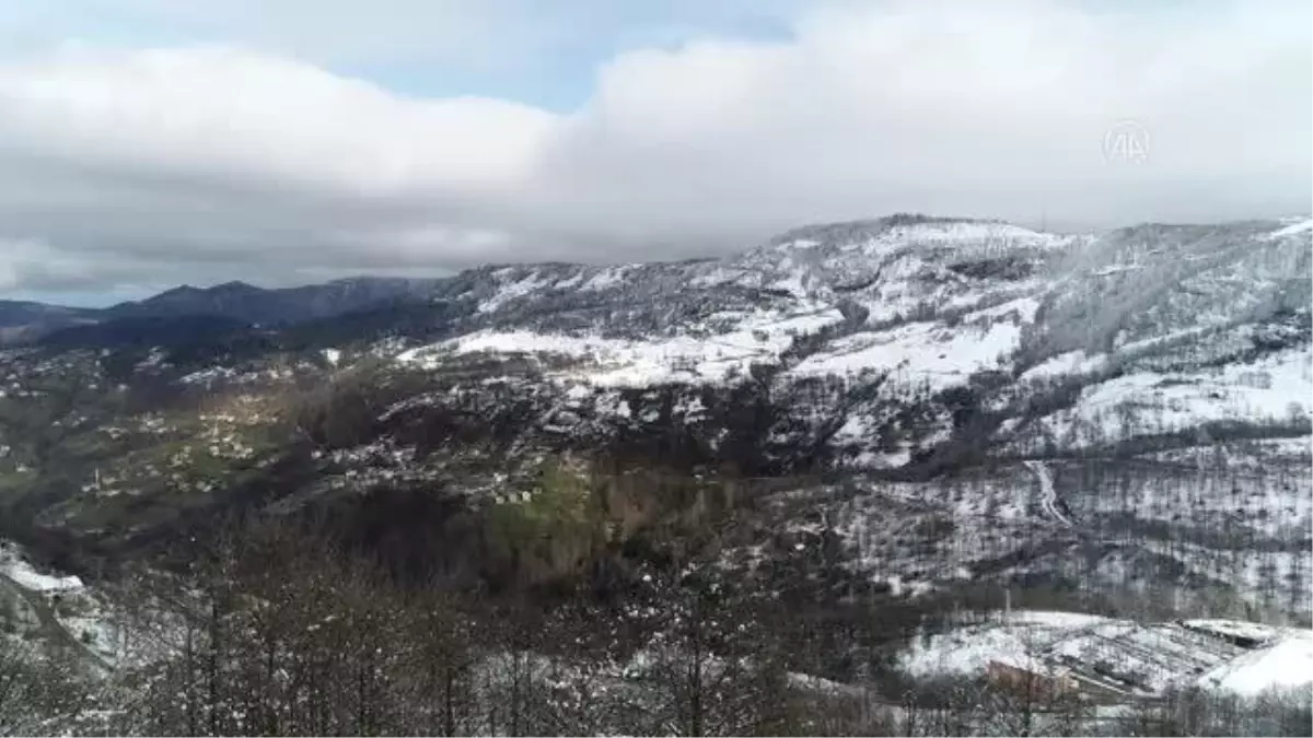 Hayatını adadığı keçileriyle karlı yamaçlarda günde 8 saat yol katediyor