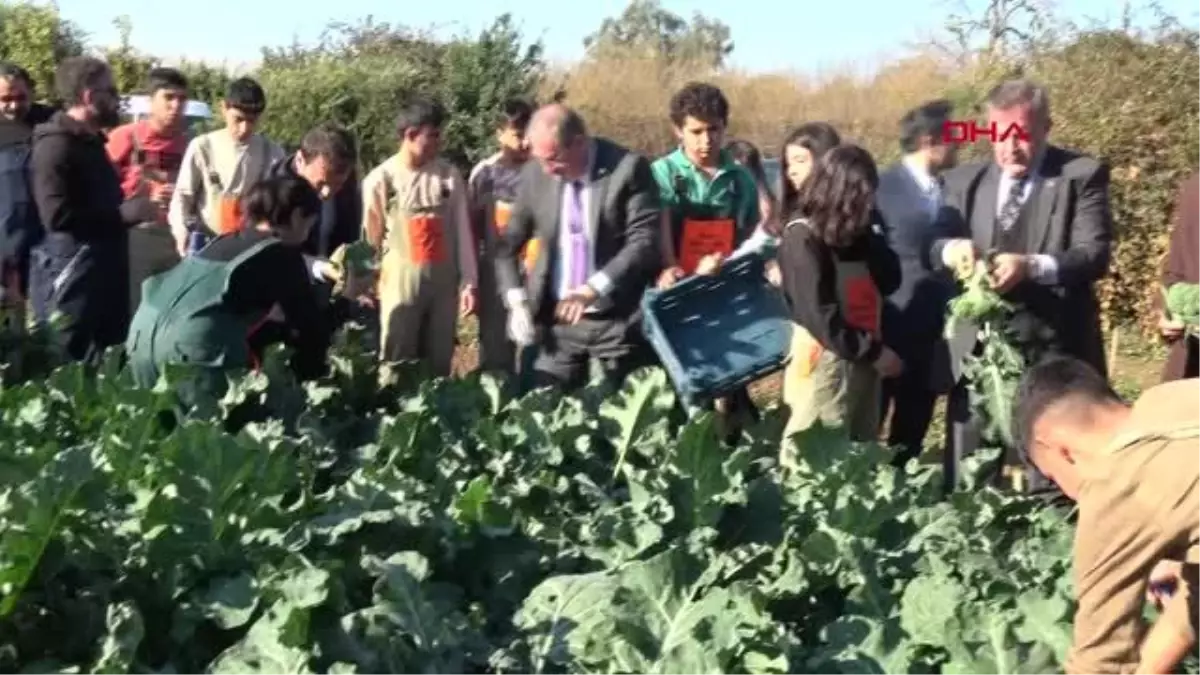 LİSELİ ÇİFTÇİLER EKİYOR, ÜRETİYOR, HASAT EDİP SATIYOR