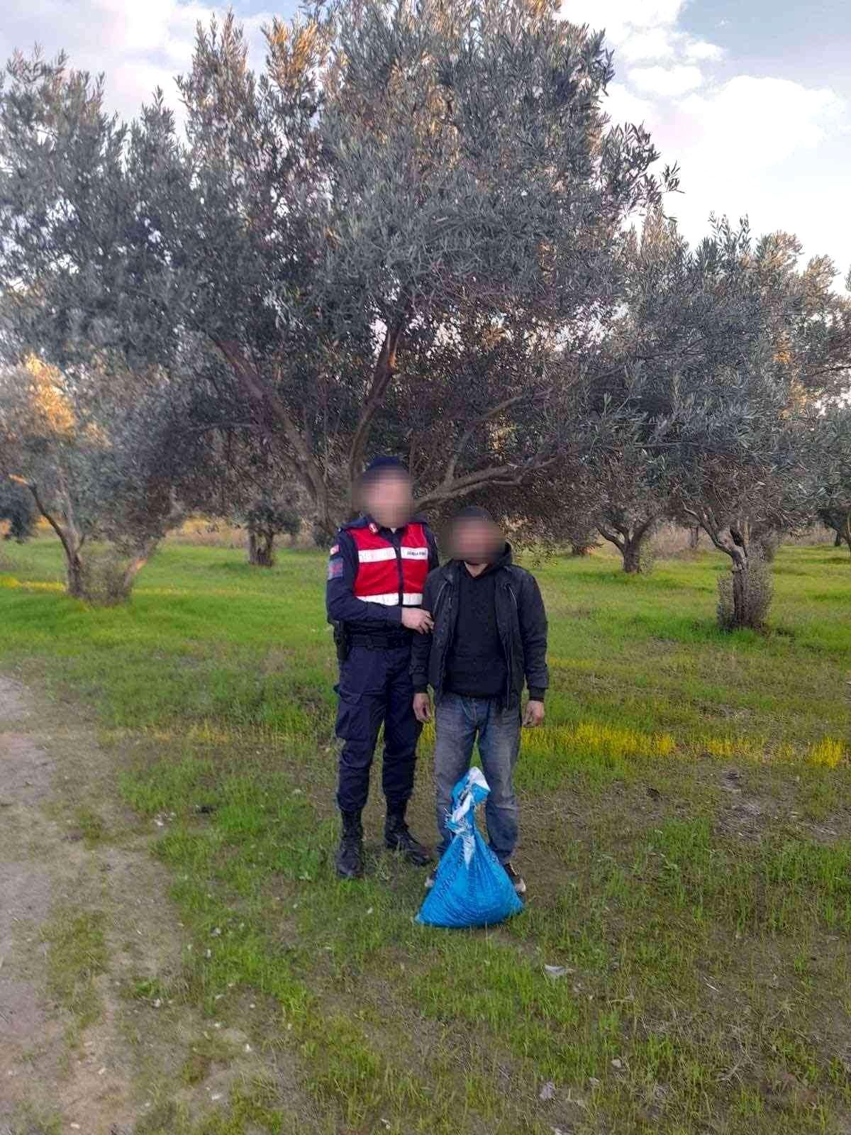 Zeytin hırsızı suçüstü yakalandı