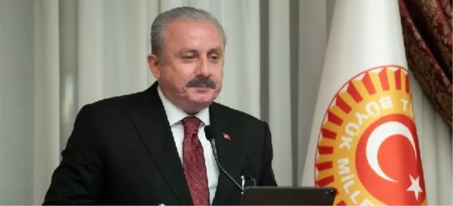 TBMM Başkanı Şentop\'tan yeni yıl tebriği