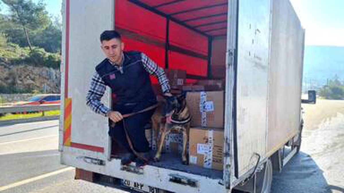 24 saatte 15 bin araç girdi