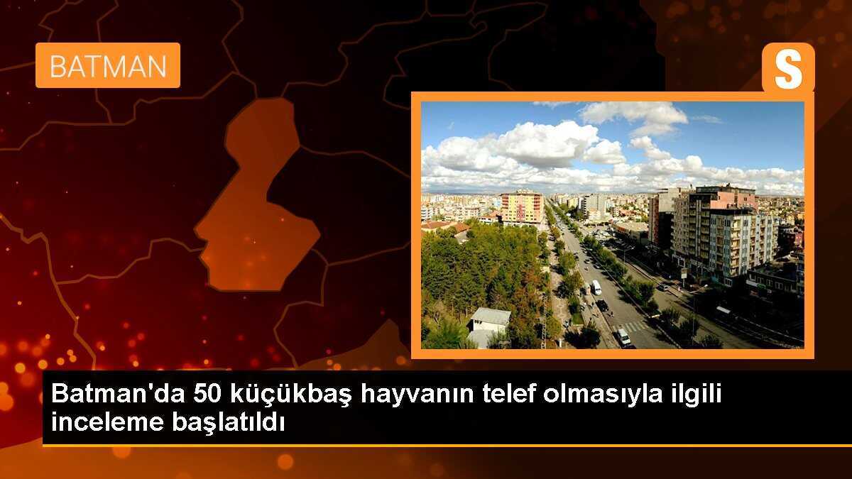 Batman\'da 50 küçükbaş hayvanın telef olmasıyla ilgili inceleme başlatıldı