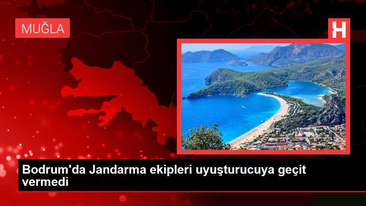 Bodrum'da Jandarma ekipleri uyuşturucuya geçit vermedi