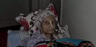 68 yıllık evli çift, 24 saat arayla hayatını kaybetti! Mezarları bile yan yana