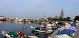 Balıkesir'de hamsi ve çinekop bolluğu yaşanıyor