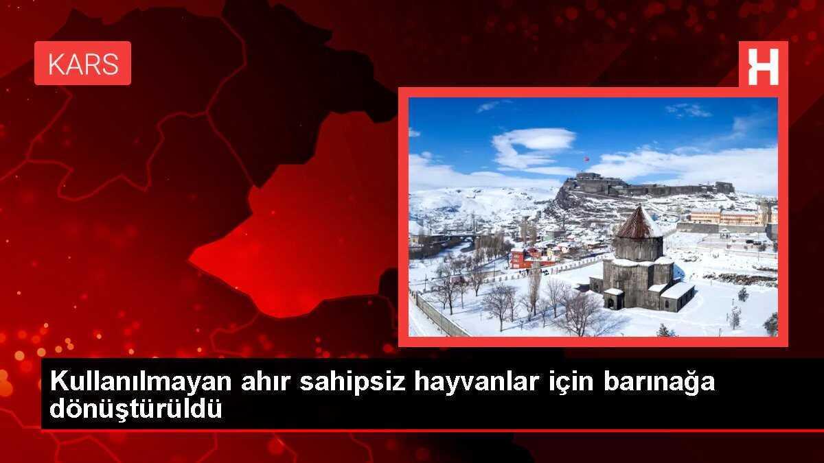 Kullanılmayan ahır sahipsiz hayvanlar için barınağa dönüştürüldü