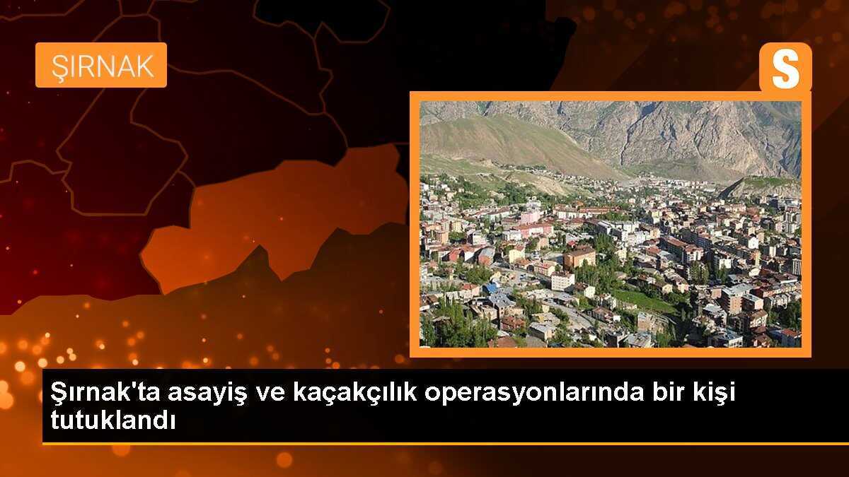 Şırnak\'ta asayiş ve kaçakçılık operasyonlarında bir kişi tutuklandı