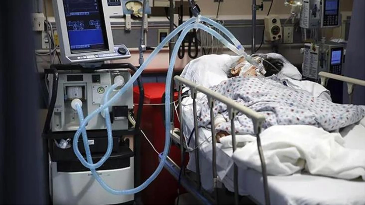 Almanya\'da Türk hastanın solunum cihazını sesten rahatsız olup kapatan hasta da Türk çıktı