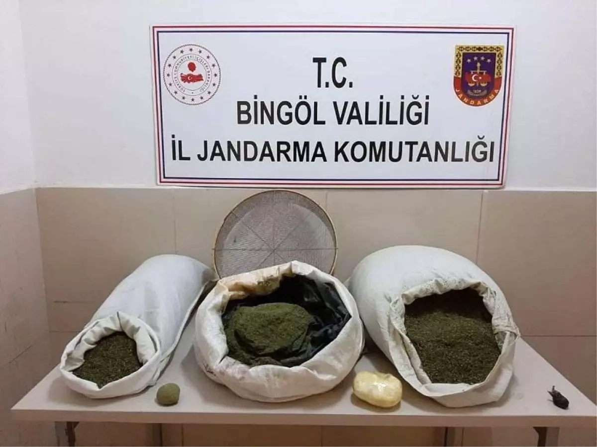 Bingöl\'de 24 kilo esrar ele geçirildi: 1 gözaltı