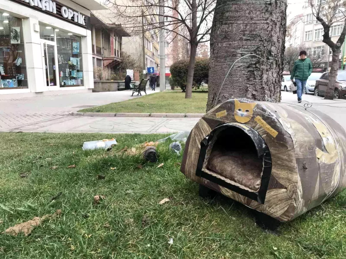 Çalınmasın diye hayvan kulübesini çelik telle ağaca bağlandılar