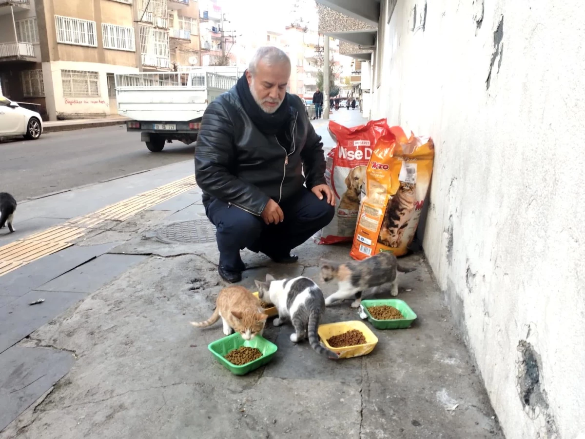 Diyarbakır\'da hayırseverler destek veriyor, sokak hayvanları mamasız kalmıyor