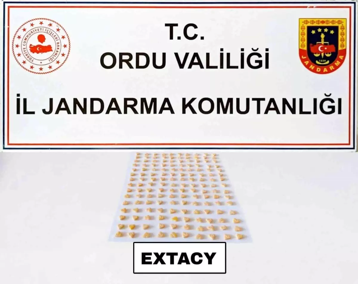 Jandarmadan uyuşturucu operasyonu: 1 kişi tutuklandı