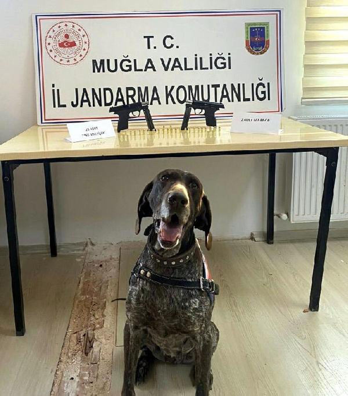 Kurusıkıdan çevirme tabancaları \'Veda\' buldu