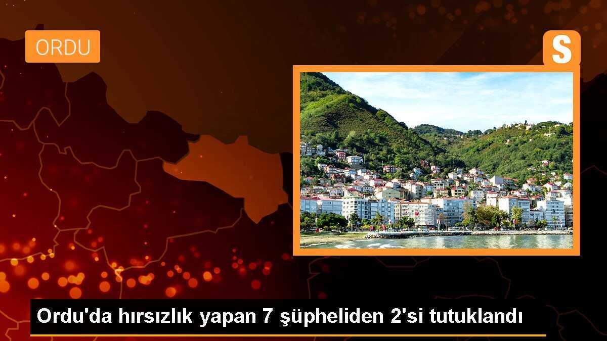 Ordu\'da hırsızlık yapan 7 şüpheliden 2\'si tutuklandı