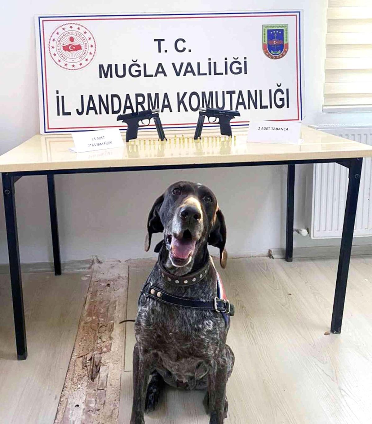 Uygulamada kurusıkıdan bozma 2 tabanca ele geçirildi