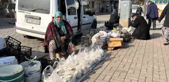 Yaban mantarları köylünün gelir kapısı oldu