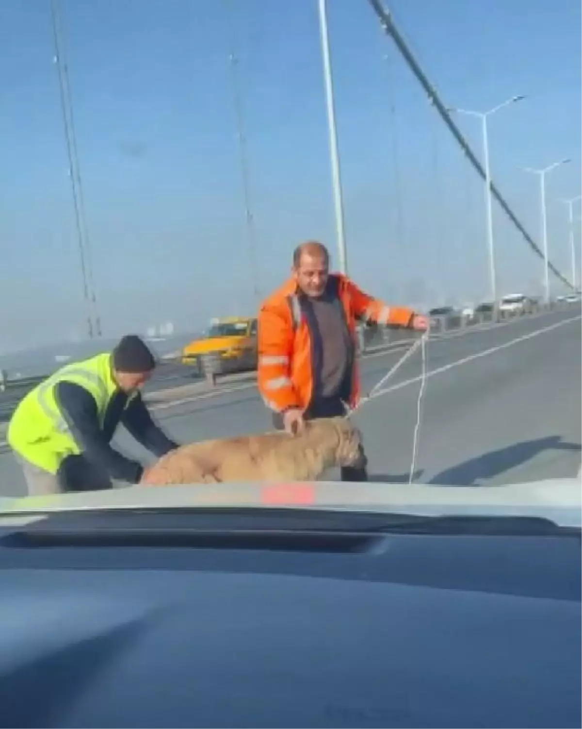 15 TEMMUZ KÖPRÜSÜ\'NDE KÖPEĞE YARDIM EDENLER KONUŞTU