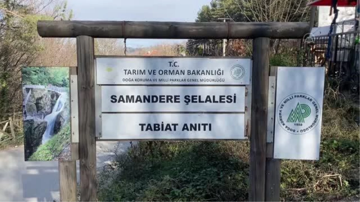 DÜZCE- Selde zarar gören Samandere Şelalesi Tabiat Anıtı\'nın onarımı tamamlandı