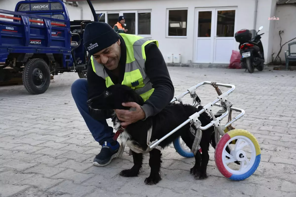 Fizik tedavi sonrası yürüteçle yürümeye başlayan \'Karam\', sıcak yuvasına kavuştu