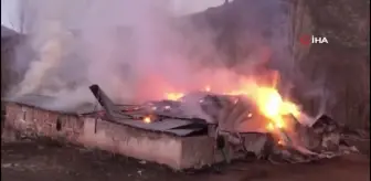 Mezrada çıkan yangında 2 ev, kiler ve samanlık kül oldu